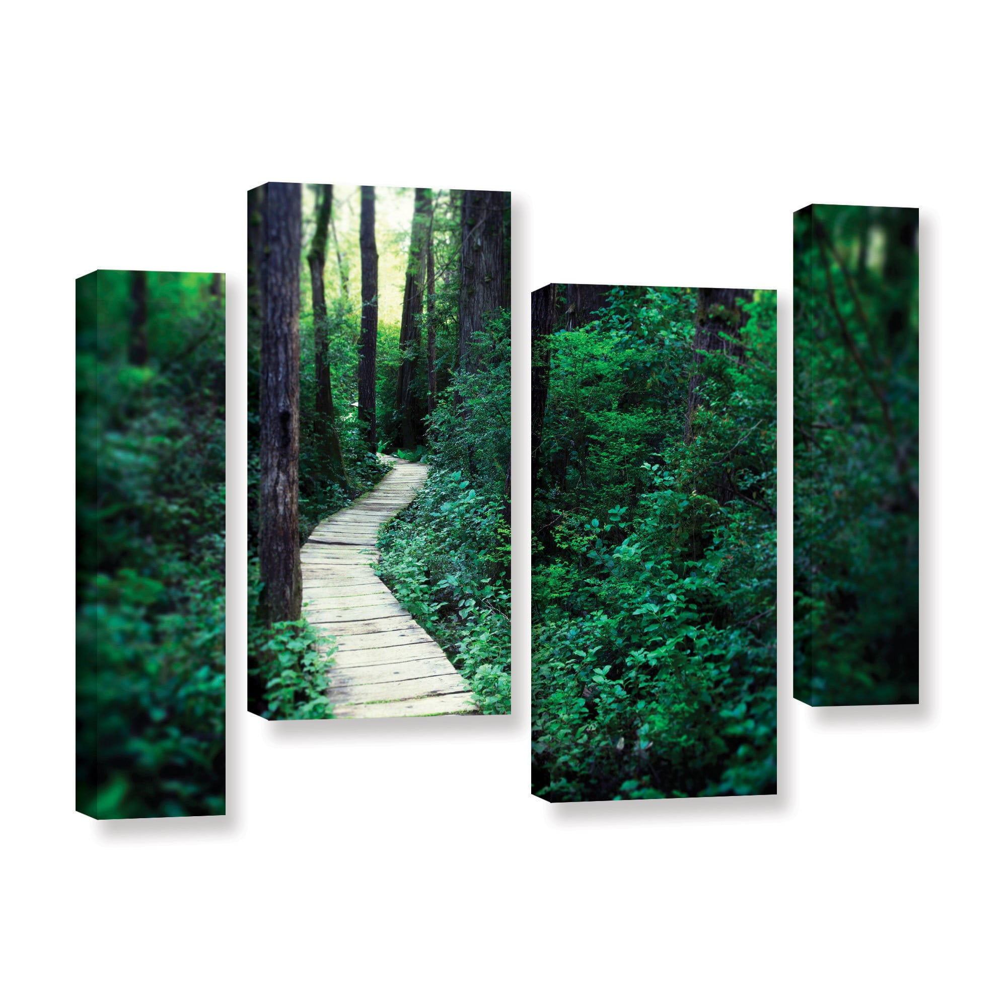 ArtWall Elena Ray "Earth Path" 4-Piece Gallery-wrapped Canvas Staggered Set