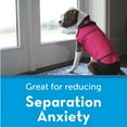 thumbnail image 3 of GASTROPOD 2026 New Dog Anxiety Jacket,Calming Solution Vest for Fireworks,Thunder,Travel,Separation for Dogs, Puppies, Pets, Outdoor, Home, 3 of 4