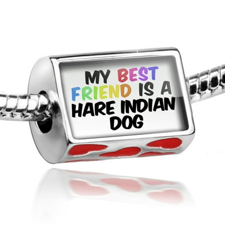 Bead My best Friend a Hare Indian Dog from Canada, United States Charm Fits All European