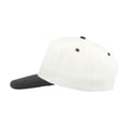 thumbnail image 5 of Atlantis Start 5 Panel Cap, 5 of 5