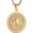 Medallion, variant on 18K Gold Plated Lion Head Necklace Pendant for Men Stainless Steel Hip Hop Rock Lion King Necklaces Charm Animal Amulet Jewelry