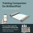 BrilliantPad 'Go Here!' Dog Potty Attractant Spray Puppy Training