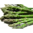 thumbnail image 2 of 100 MARY WASHINGTON ASPARAGUS Officinalis Perennial Vegetable Seeds, 2 of 4