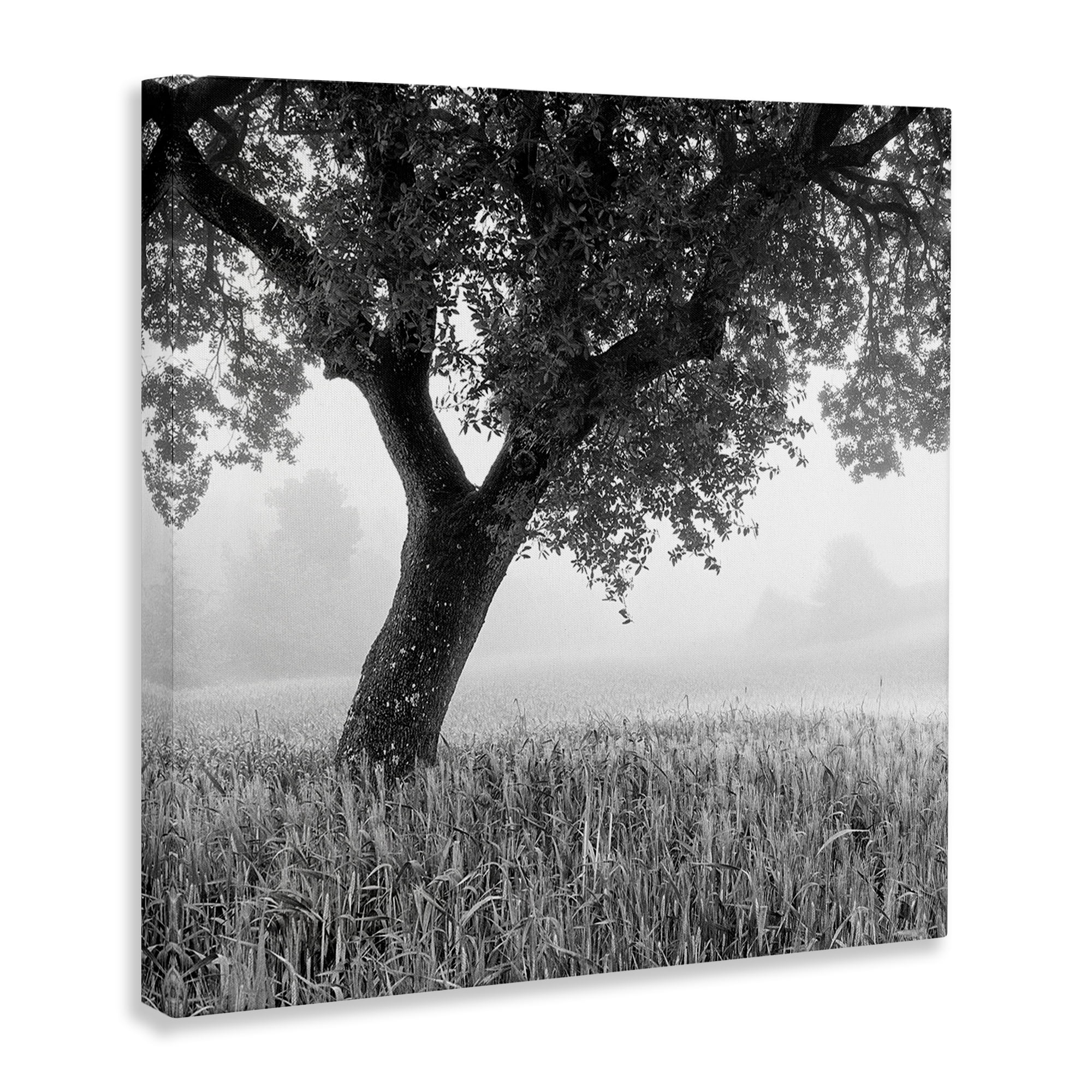 Stupell Industries Tuscan Morning Scenery Landscape & Nature Photography Wrapped Canvas Art Print Wall Art, 17 x 17
