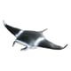 thumbnail image 2 of Juguetes realistas de figuras de animales marinos, juguetes para niños, juguetes educativos para niñas, niños, niños, 2 of 9