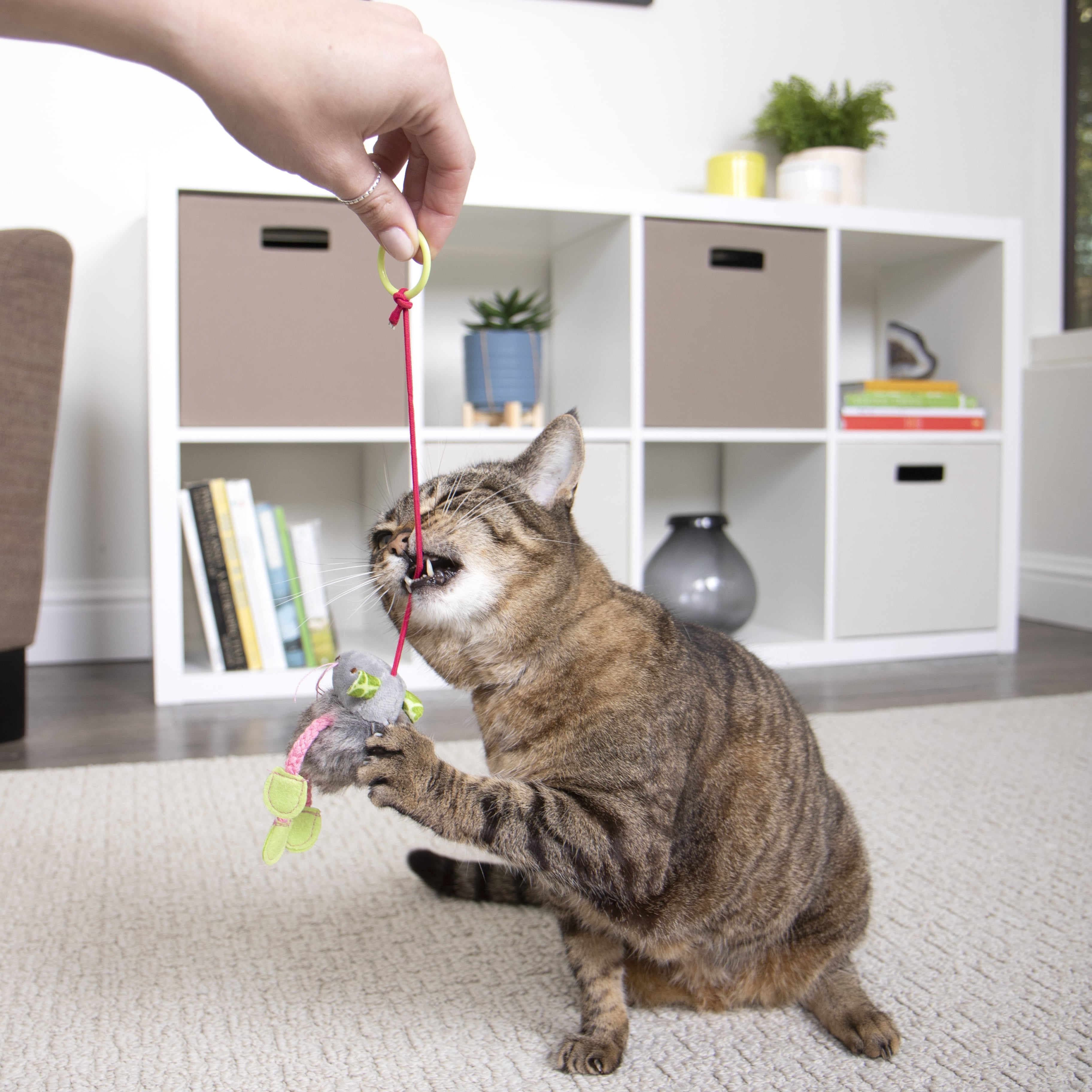SmartyKat Bouncy Mouse Interactive Bungee Cat Toy