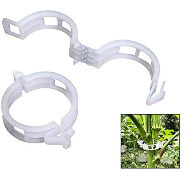 para plantas para verduras, tomates y plantas de vid Paquete de 100 Clips para plantas reutilizables de plástico blanco para brotes pequeños y grandes y plantas trepadoras Blanco.