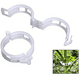 thumbnail image 1 of para plantas para verduras, tomates y plantas de vid Paquete de 100 Clips para plantas reutilizables de plástico blanco para brotes pequeños y grandes y plantas trepadoras Blanco., 1 of 2