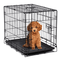 HiiKaa 24 in Small Puppy Crate,Dog Cage for Small Dog,Folding Metal Pet Kennel with 2-Door,Tray