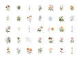thumbnail image 2 of 35pcs Delicate Stickers Flower Stickers Natural Stickers Floral Stickers for Laptops Notebooks Suitcases, 2 of 5