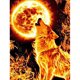 thumbnail image 1 of Pintura de diamante (DE6342) Póster de lobo de fuego cuadrado 5D hecho a mano DIY (E470) 50x70cm Hugtrwg Para estrenar, 1 of 1