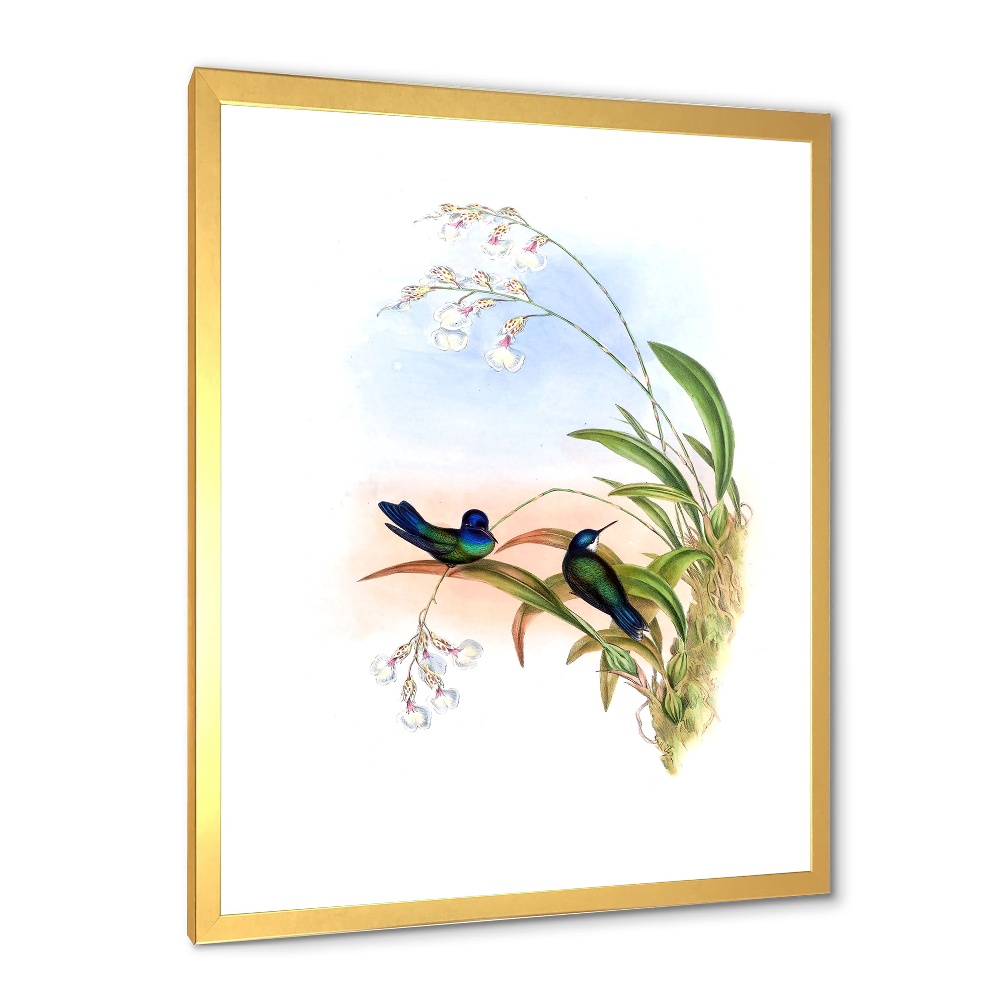 Designart 'Ancient Hummingbird III' Traditional Framed Art Print