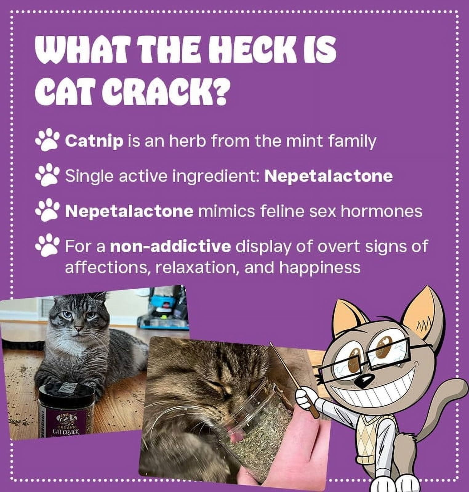 Cat Crack Organic Catnip, 100% Natural Cat Nips Organic Blend That Energizes and Excites Cats, Safe Catnip Treats for Cat Play, Cat Training, & New Organic Catnip Toys for Cats(4 Cup Organic)