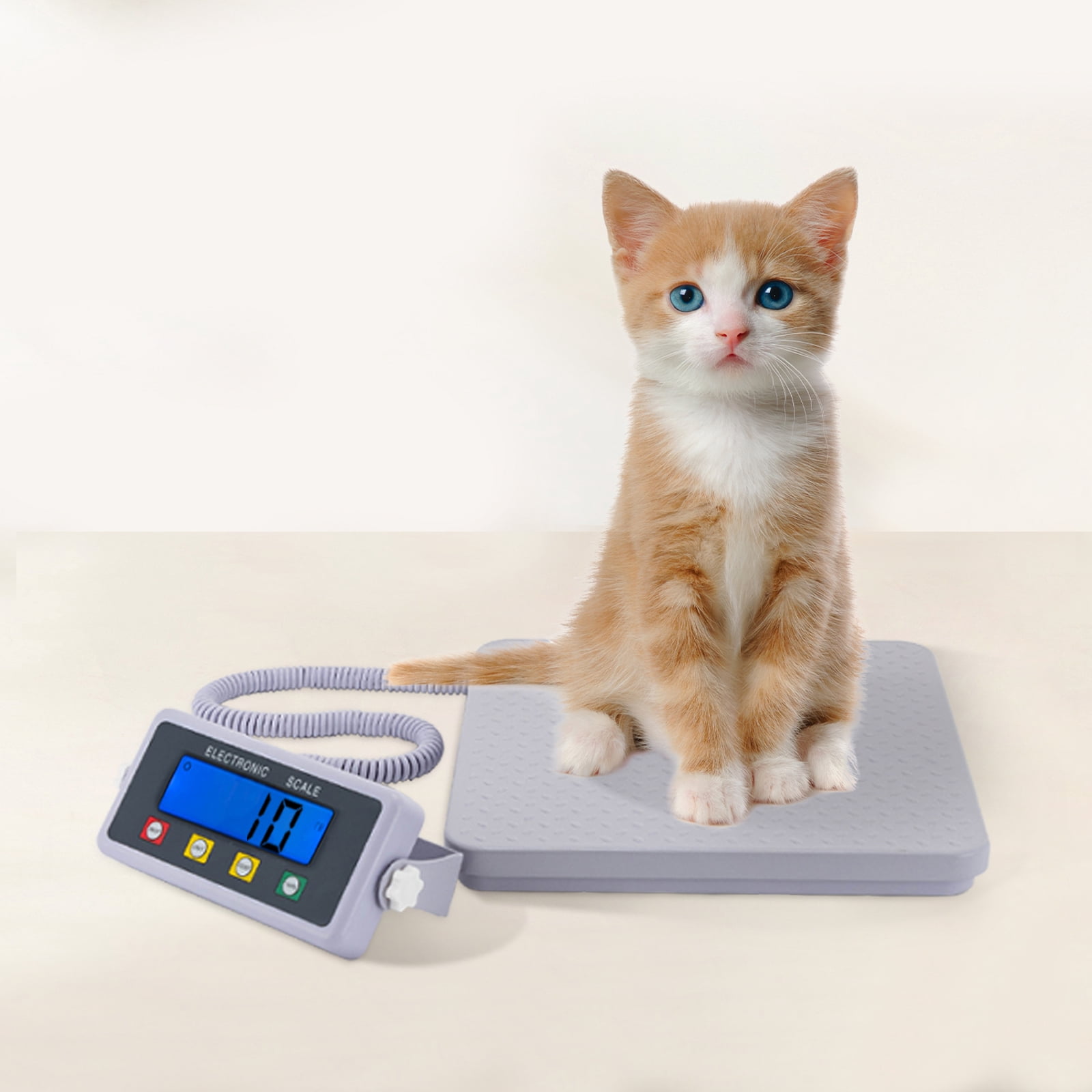 Medical Grade Floor Scale Digital LCD Display Slimline Scale Pet Weight Scale for gyms, clinics, medical institutions