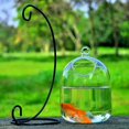 thumbnail image 3 of Vase Fishbowl Transparent Hanging Glass Creative Decor Fish Tank for Living Room, 3 of 8