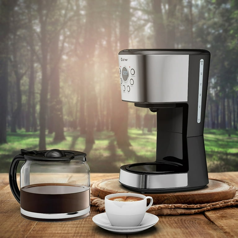 Haden - Modern 12-Cup Programmable Coffee Maker - Putty