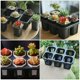 thumbnail image 5 of Maceta para bonsái (2 unidades, 6 agujeros, soporte para maceta, soporte pequeño para plantas y suculentas), 5 of 6