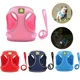 thumbnail image 2 of Conjunto de arnés y correa para cachorros para perros pequeños, arnés de malla ajustable para gatos, bulldog francés, chihuahua, suministros para paseos al aire libre, 2 of 5