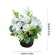 thumbnail image 3 of Decoración del hogar, decoración de habitaciones, decoración de paredes, decoración de plantas verdes simuladas, plantas en macetas pequeñas, flores de plástico, flores artificiales, arreglos florales, 3 of 6