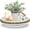 White and Brown, variant on Farmhouse Wooden with Beads 360 Degree Rotating Lazy Susan Organizer for Cabinet Countertop
