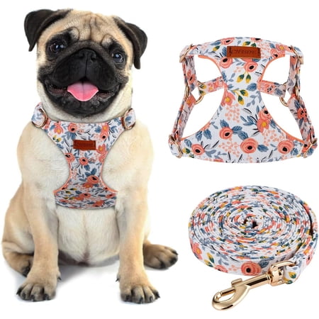 No Pull Floral Pattern Dog Harness- Lightweight, Soft, Adjustable Small Harness and Leash Set, Suitable for Puppy Small and Medium-Sized Dog (S, Orange Rose)