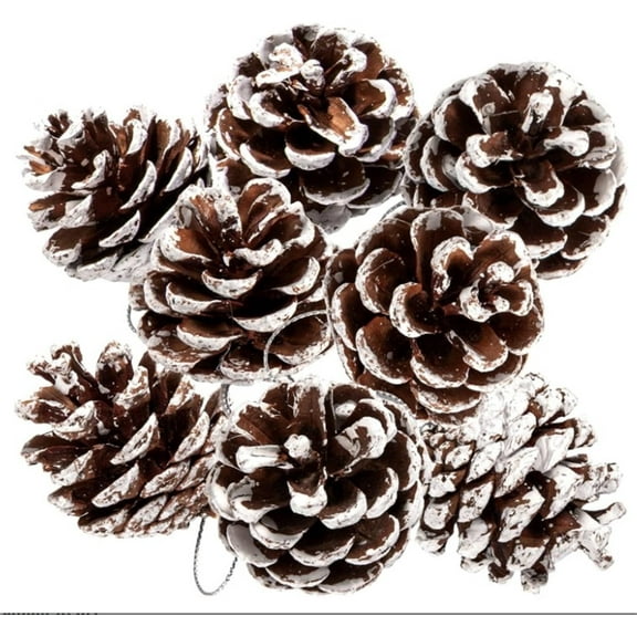 Natural Pinecones Ornaments 18 Pcs,Christmas Tree Pinecone Sets,Pinecone Pendants Dyed with White Paint,Pine Cone Pendant with String,Holiday Decorations for Winter Party