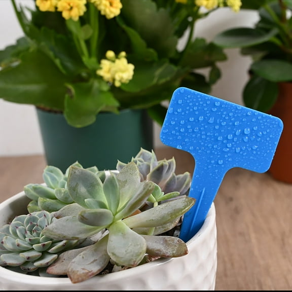 Luxcidy 5PCS Plant Labels, T-Type PVC Garden Tags, Waterproof Plant Sign, Durable Garden Labels, Nursery Garden Marker, Plant Name Tags for Potted Herb Flower Vegetable(Red Blue White Yellow Green)