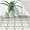Green and White, variant on Peel and Stick Floor Tile, Self-Adhesive DIY Vinyl Flooring, Removable and Tile Sticker for Bathroom, Kitchen, Wall, Fireplace (20PCS,7.87" x 7.87",Green and White Floral Look)