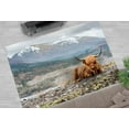 thumbnail image 4 of Highland Cow Rug, Farmhouse Rug, Trendy Rug, Animal Rug, Classic Rug, Home Decor Rug, Machine Washable Rug, Popular Rug, Luxury Rug, 2'x3' - 60x90 cm, 4 of 8