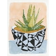 thumbnail image 2 of Stellar Design Studio 19x24 Black Ornate Wood Framed with Double Matting Museum Art Print Titled - Geo Vase with Succulent, 2 of 4