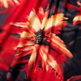 thumbnail image 4 of XUNKUSGA Grande Taille Sorties de Plage pour Femmes Mode Robe Caftan à Manches Chauve-Souris Ample Confortable Douce d'Été à Imprimé Floral Robe Maxi, Rouge, Taille Unique, 4 of 9