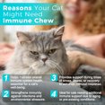thumbnail image 3 of Cat Immune Chews – Immune Support Supplement for Cats Immune System Health 60 Chews, 3 of 6