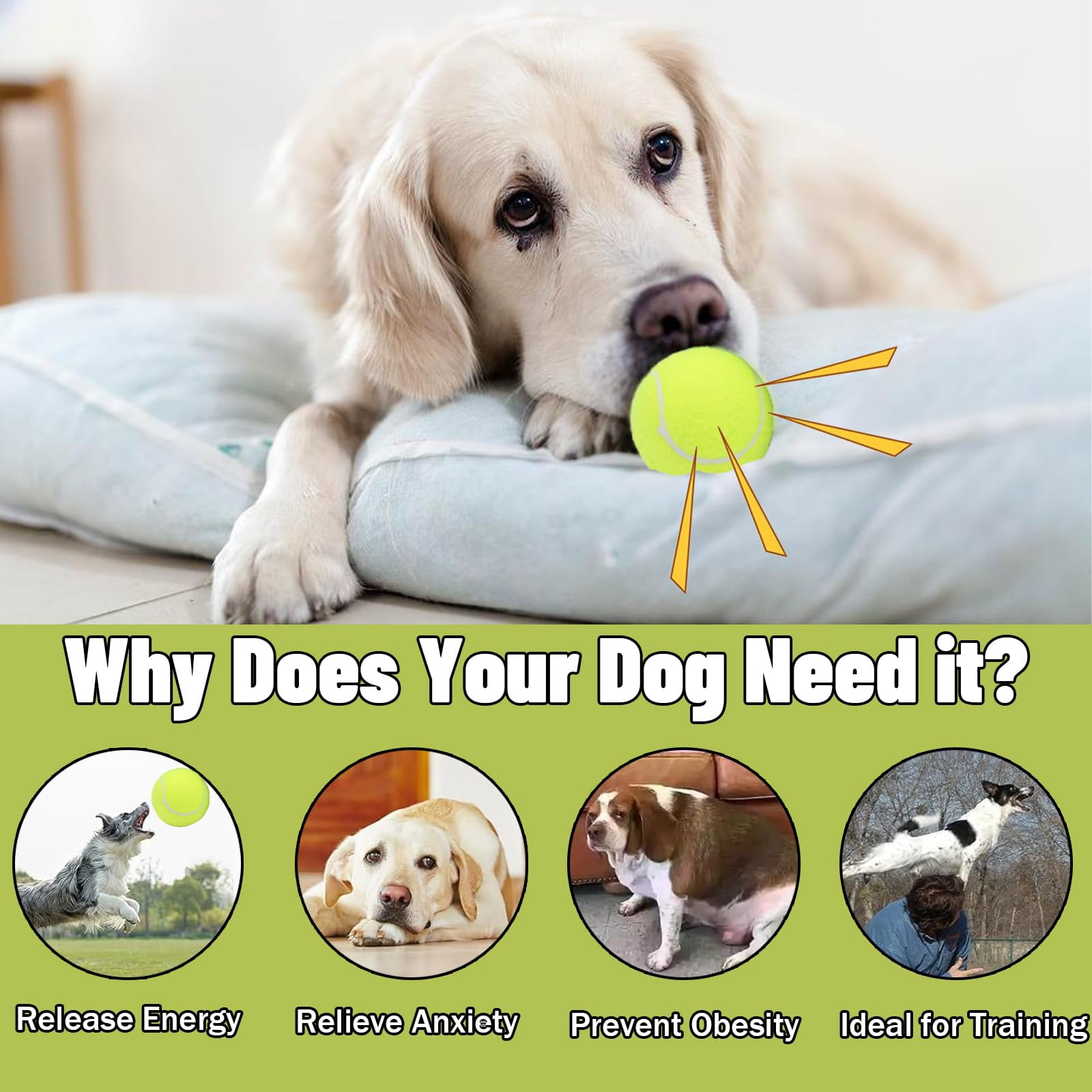 Magicorange Tennis Balls for Dogs, 20 Pack Floatable Squeaky Playing Balls with Mesh Bag for Fetch Exercise, Natural Rubber Training Safe, Best Dog Toys Gifts (20 Mix, 2.5 inch)