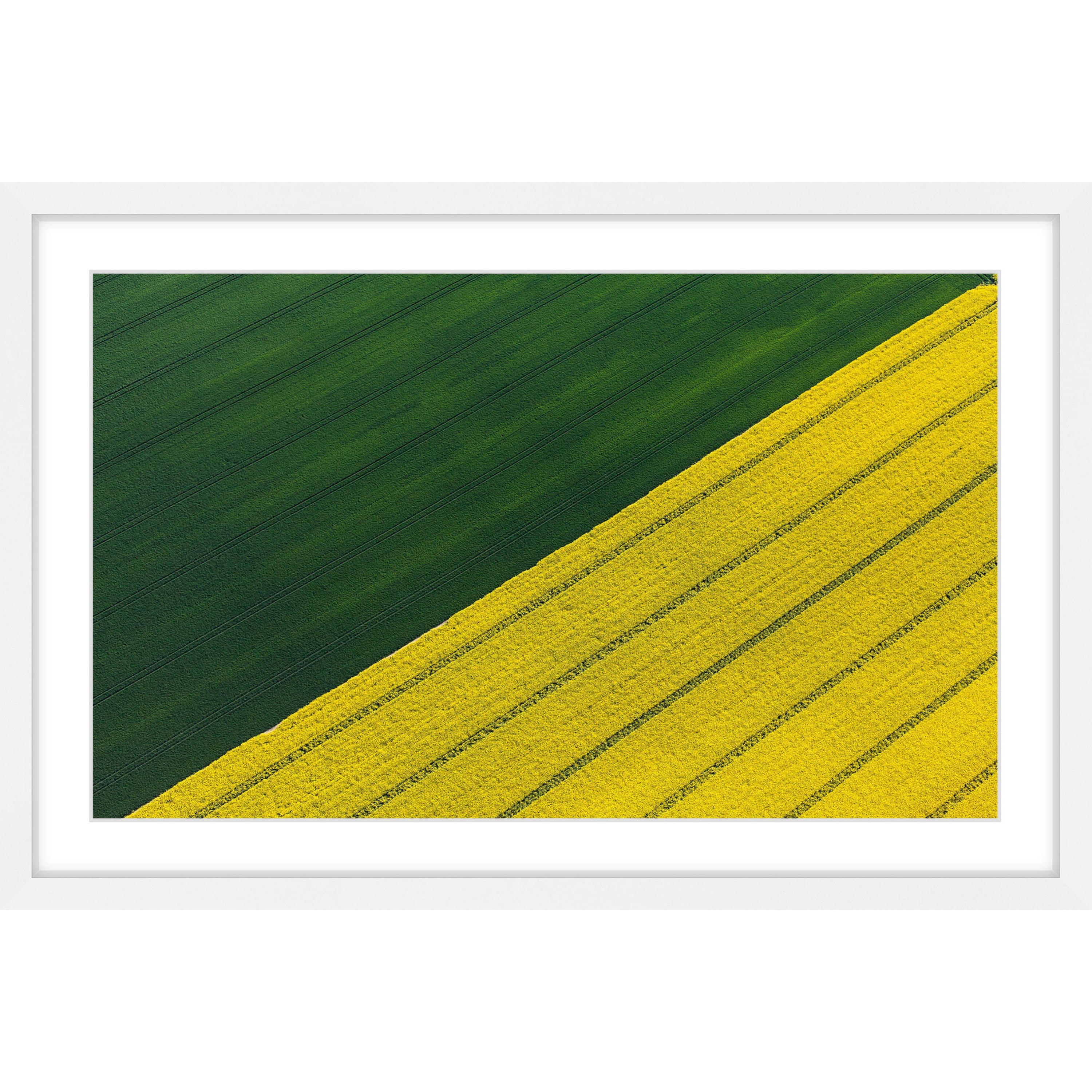 Marmont Hill "Green and Yellow Crops" Framed Painting Print