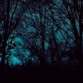 thumbnail image 2 of Ludwig, Alicia 12x12 White Modern Wood Framed Museum Art Print Titled - Nocturne III, 2 of 4
