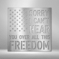 thumbnail image 3 of All This Freedom Sign Steel Sign Laser Cut Powder Coated Home & Office Metal Wall Decor Multiple Sizes & Colors, 3 of 5