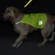 thumbnail image 5 of Chaleco reflectante para perros, chaleco reflectante para perros de alta visibilidad, chaleco de seguridad ajustable para perros, protege a tu cachorro, 5 of 5