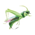 thumbnail image 1 of LOVIVER ing Lure Bionic Locust Bait for Tilapia White Striped Mandarin Green, 1 of 8