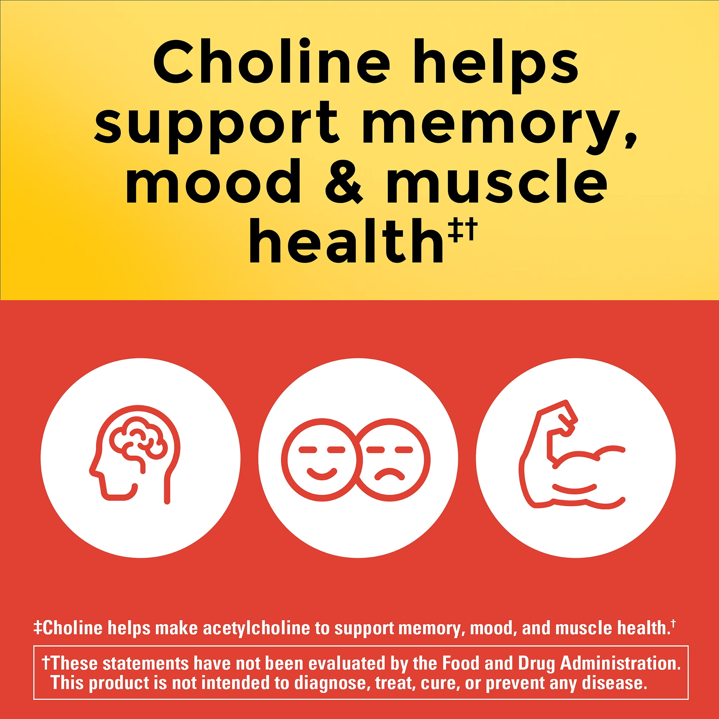 Nature Made Extra Strength Dosage Choline Supplement 800 Mg, Brain Support, 60 Capsules
