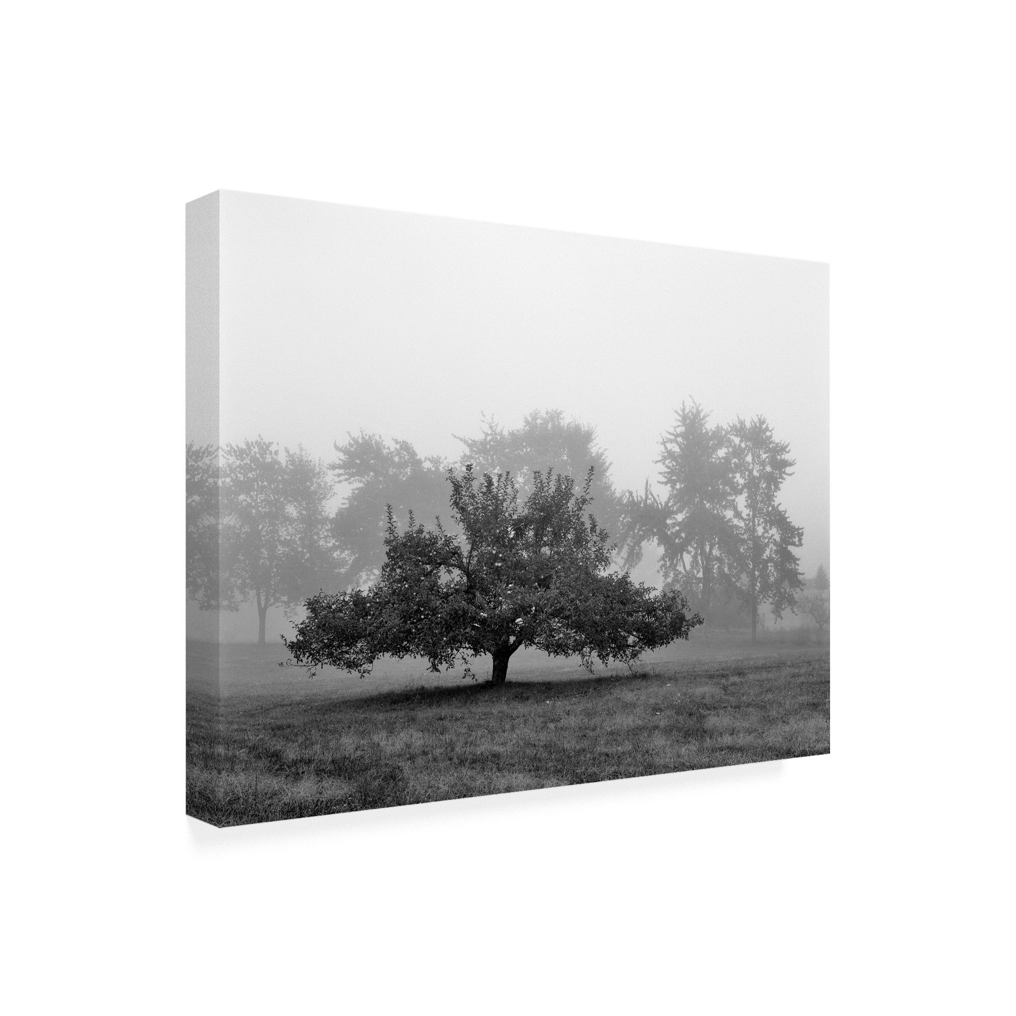 Trademark Fine Art 'Apple Tree Southfield Michigan' Canvas Art by Monte Nagler