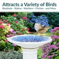 thumbnail image 4 of Sunnydaze Misty Blossom Freestanding Ceramic Outdoor Bird Bath, UV-Resistant White and Blue Finish, 4 of 12