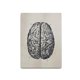 thumbnail image 3 of Estructura del cerebro Pintura Educativa Galería de interiores Escuela Enseñanza Imagen Poster ornamental desmontable colorido con marco Scienceny HA010721-00, 3 of 7