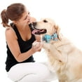 thumbnail image 4 of Collares para perros y gatos con pajaritas ajustables y desmontables, de caballero., 4 of 5