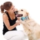 thumbnail image 4 of Collares para perros y gatos Apuakthei con pajaritas ajustables desmontables, de caballero,, 4 of 5