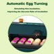 thumbnail image 4 of Incubadora para huevos para incubar Giro automático de huevos 10 huevos LED, 4 of 6