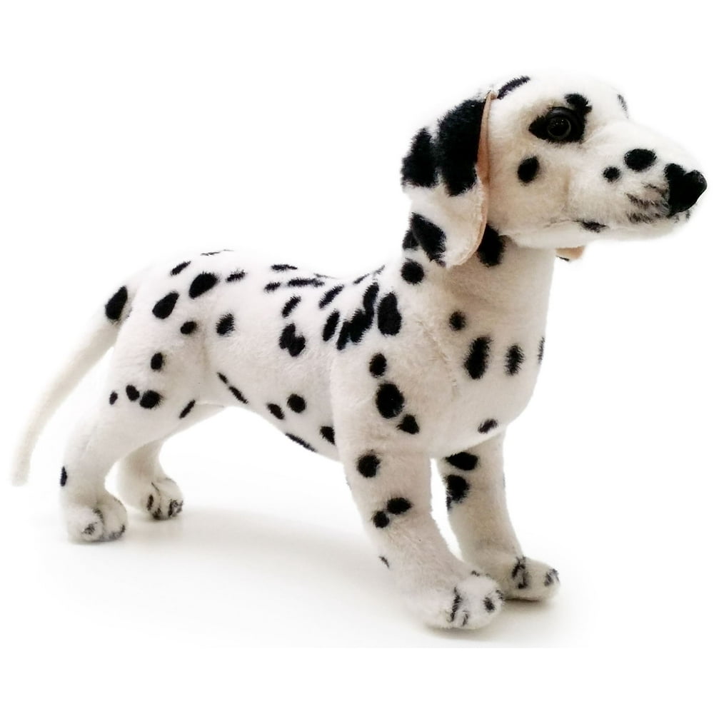 large dalmatian teddy