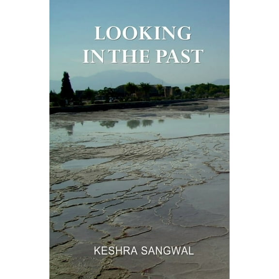 Looking in the Past (Paperback)