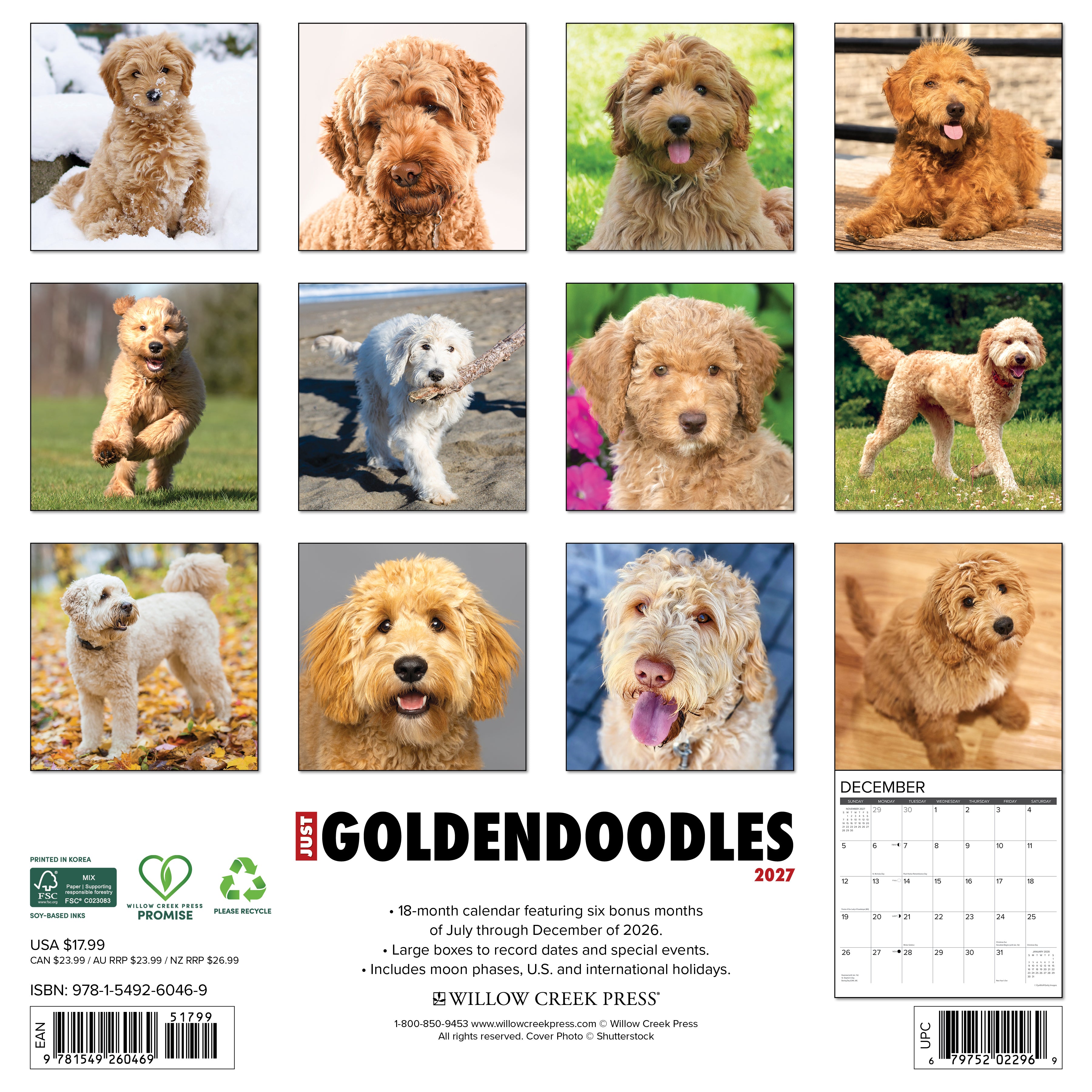 Willow Creek Press, Goldendoodles 2027 Wall Calendar