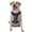 With Accessories, variant on Vsdgher Starry Sky Pattern Dog Harness,No Pull Pet Harness with Soft Padded Handle,Adjustable Reflective Vest with 2 Buckles,4 Slide Buckles,S-XL X-Large