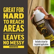 Amdro Quick Kill Carpenter Bee, Carpenter Ant & Termite Killer Foam; 18 oz.